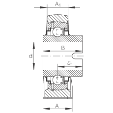 直立式軸承座單元 RASEL30-N, 鑄鐵軸承座，浮動軸承，內(nèi)圈有驅(qū)動槽，R 型密封