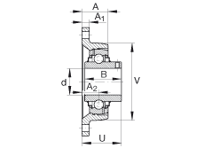 軸承座單元 RCJTY1-1/4, 對(duì)角法蘭軸承座單元，鑄鐵，根據(jù) ABMA 15 - 1991, ABMA 14 - 1991, ISO3228 內(nèi)圈帶有平頭螺栓，R型密封，英制